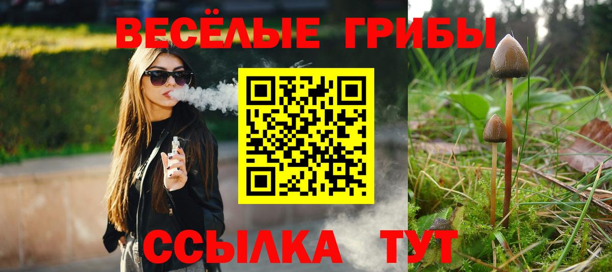 Псилоцибиновые грибы Magic Shrooms  Вход с VPN  магазин продажи   Спасск-Дальний 